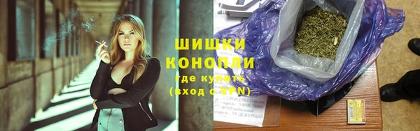 дживик Лагань