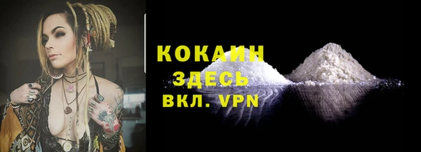 бошки Гусев