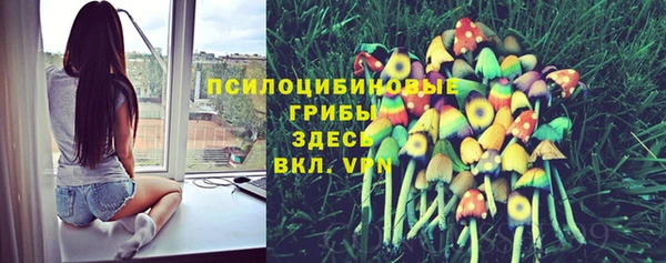 бошки Гусев
