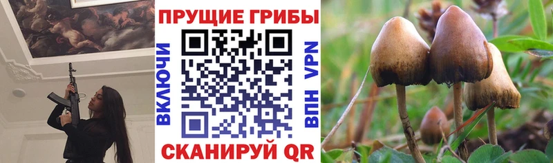 ссылка на мегу сайт Нягань Псилоцибиновые грибы GOLDEN TEACHER